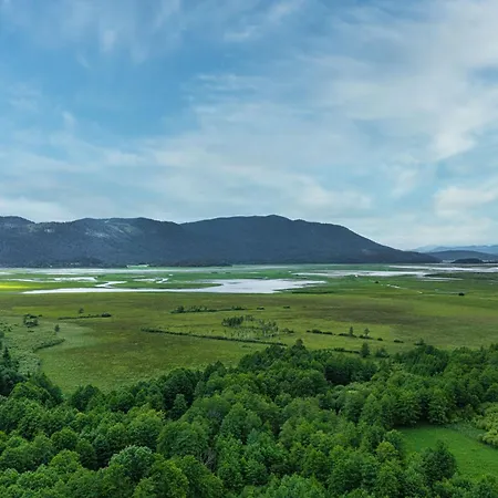 View - Happy *